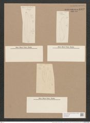 Pleurosigma angulatum aestari [sic?] (Breb.) V.H. (de-Toni-Nr.: Genus 13, Species 1001) Zeichnungen Sammlung Grunow Nr. 1992 (NHMW-BOT-W0368838)